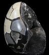 Polished Septarian Geode Sculpture - Black Crystals #37134-1